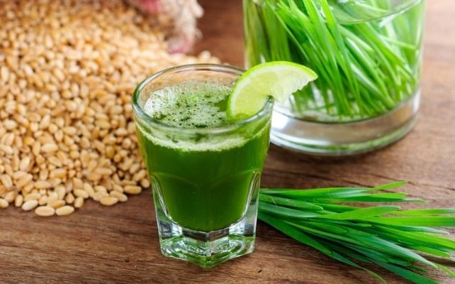 Wheatgrass